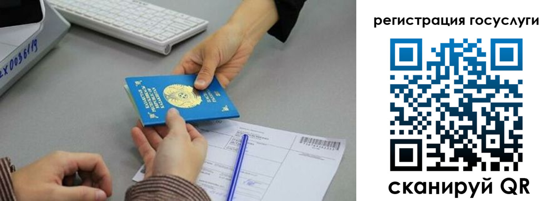 временная прописка в Гатчине